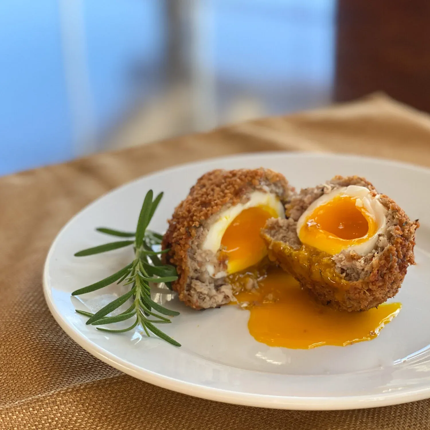 Scotch egg