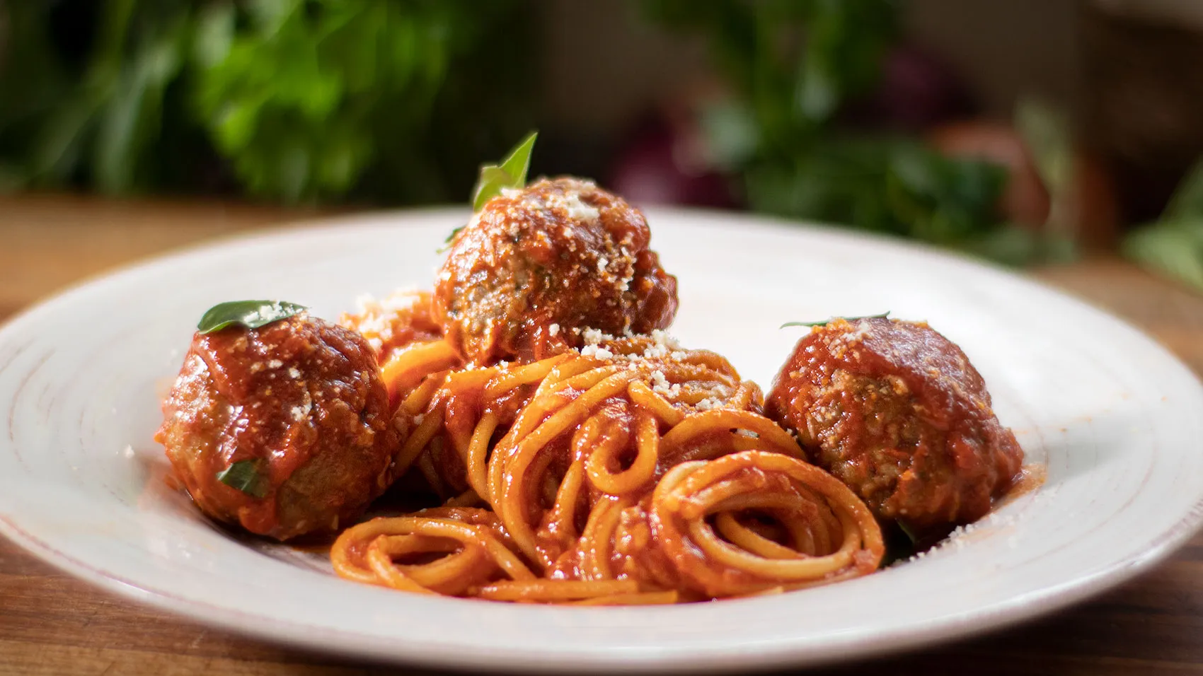 Spaghetti and Meatballs